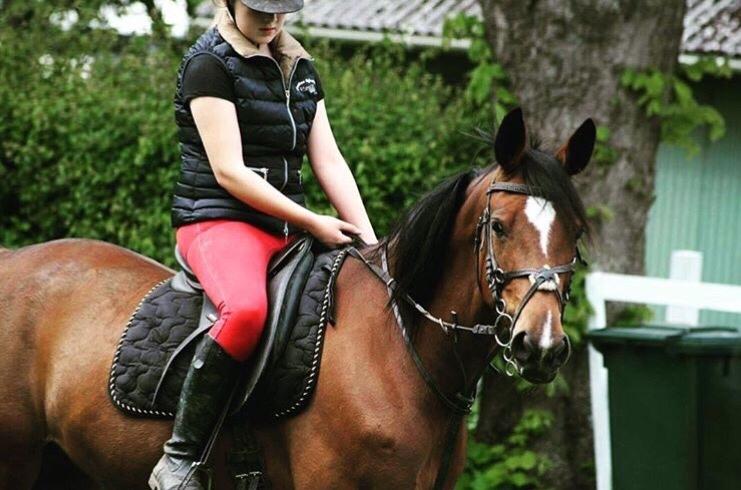 Anden særlig race Well Done (Donna) billede 4