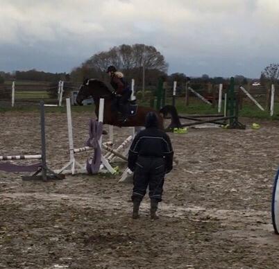 Anden særlig race Well Done (Donna) billede 9