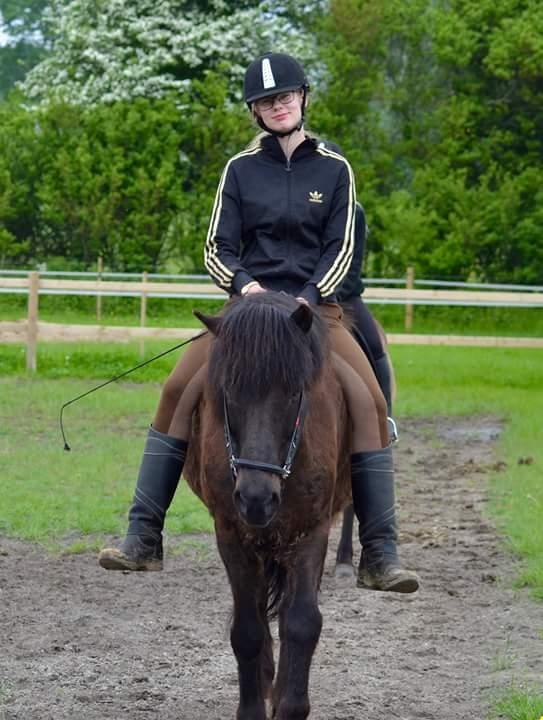 Islænder Hóvie efterskole hest (tidligere part) - hygge ridning yahh billede 5