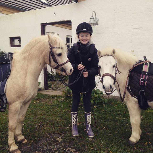 Anden særlig race Frodo billede 5