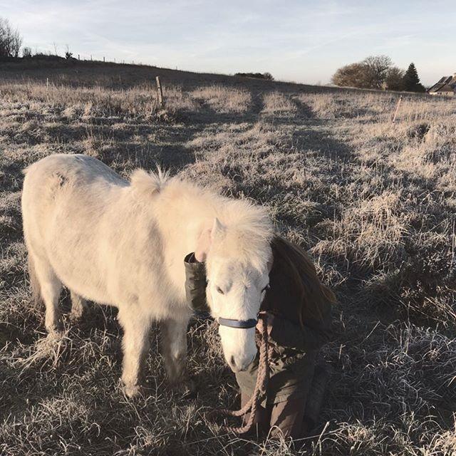 Anden særlig race Frodo billede 8