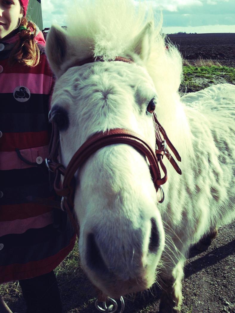 Anden særlig race Frodo billede 11