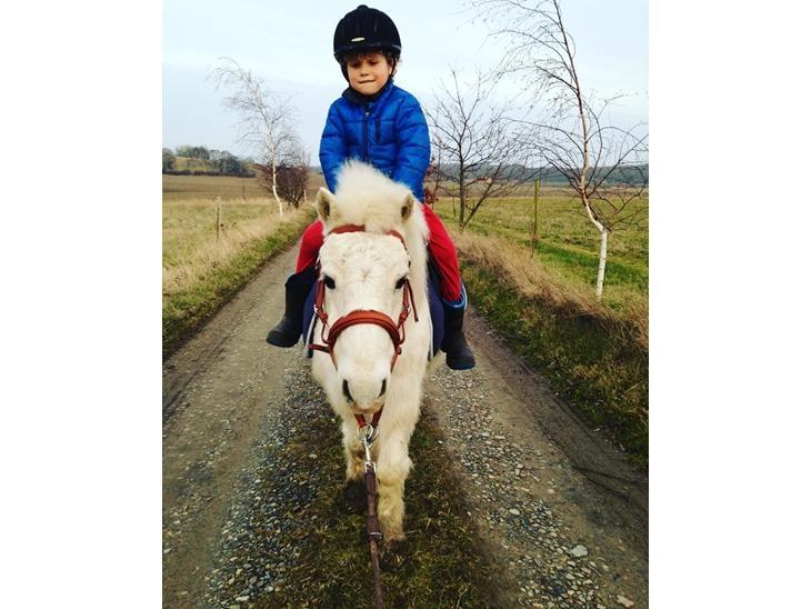 Anden særlig race Frodo billede 13