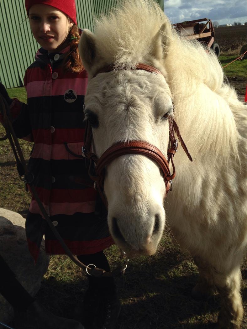 Anden særlig race Frodo billede 12