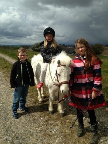 Anden særlig race Frodo billede 15