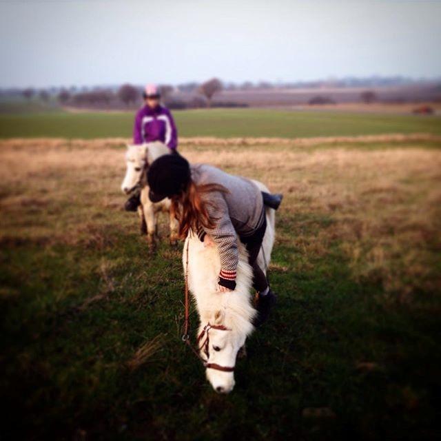 Anden særlig race Frodo billede 19