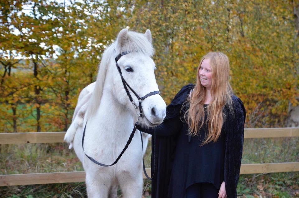 Islænder Bruni fra Hedebo billede 7