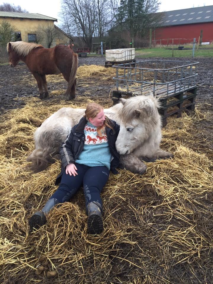 Islænder Bruni fra Hedebo - ’’The best and most beautiful things in the world can’t be seen or touched. It must be felt with the heart’’ <3 billede 10