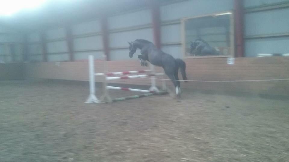 Traver Nemo Sønderholm billede 15