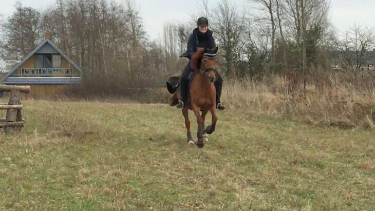 DSP Hot Chili [My soulmate] billede 18