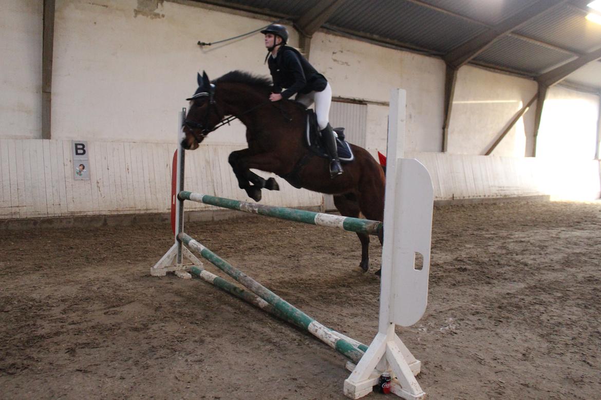 DSP Ronja  - Vores sidste ponystævne, hvor vi red vores første LA!!! billede 11