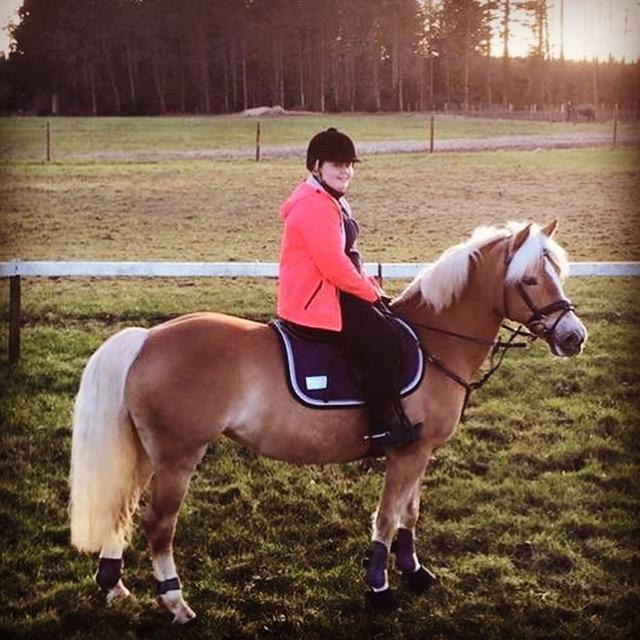 Haflinger Annika (nuks) billede 14