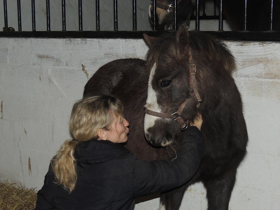 Anden særlig race Milky Slice - SOLGT billede 10