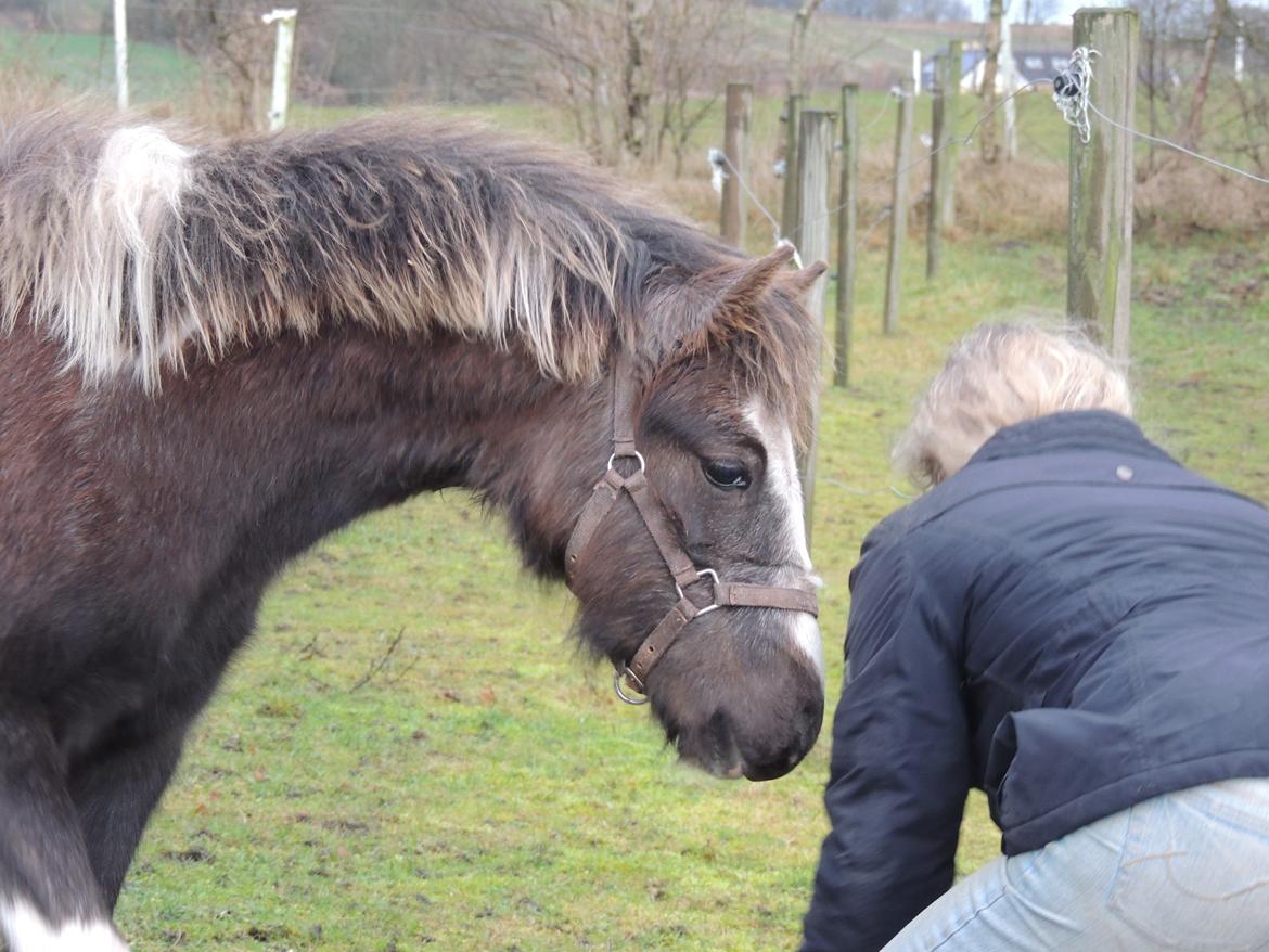 Anden særlig race Milky Slice - SOLGT - Selvom alt var nyt og lidt farligt, var der stadig tid til at være nysgerrig. :-) billede 1