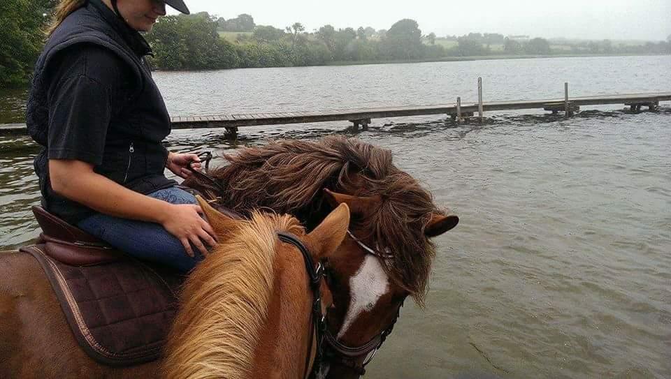 Anden særlig race Knass  billede 9