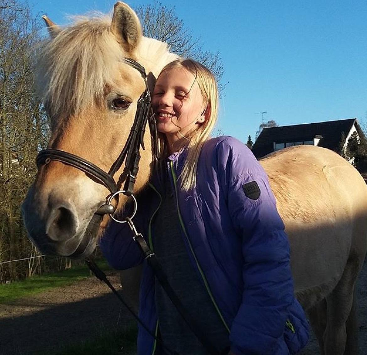 Fjordhest Isbjørn - Fra vores gå tur som passer<3 billede 10