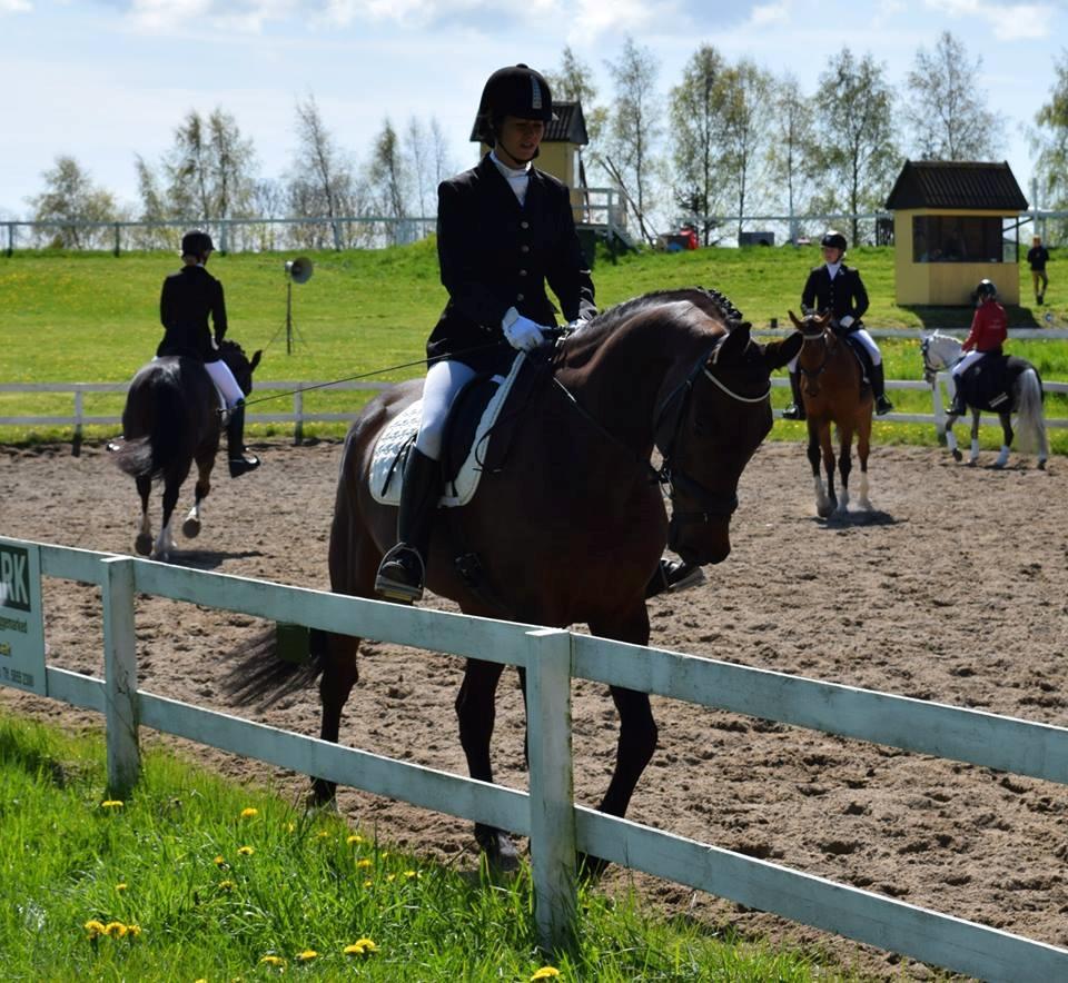 Holstener katrinebjergs Cosmo billede 15