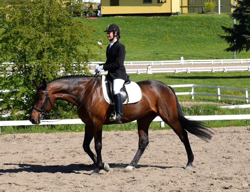 Holstener katrinebjergs Cosmo billede 16