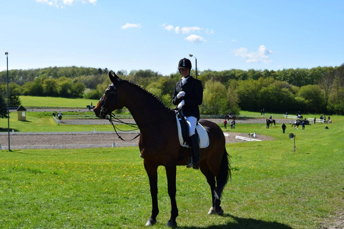 Holstener katrinebjergs Cosmo billede 17