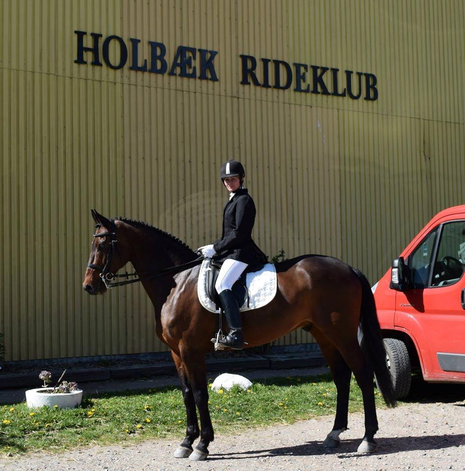 Holstener katrinebjergs Cosmo billede 18