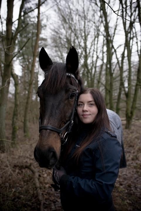 Dansk Varmblod Shadow  billede 7