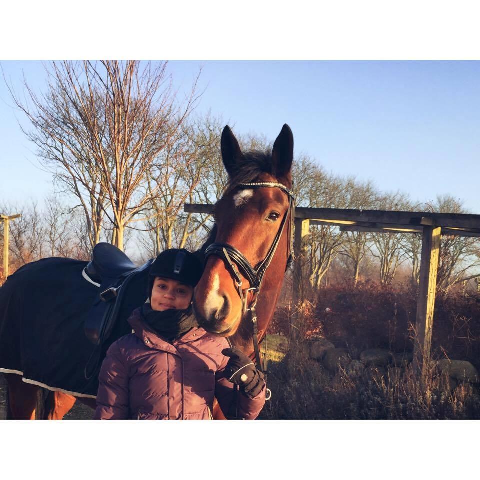 Oldenborg Bakkegårdens charlie - Juleaftensdag som vi fejrede med en god lang tur i Hedeland. billede 4
