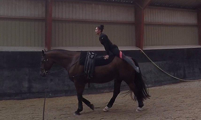 Oldenborg Bakkegårdens charlie - Milepæl #1: Første gang det lykkedes at voltigere på ham i skridt i longe.  billede 12