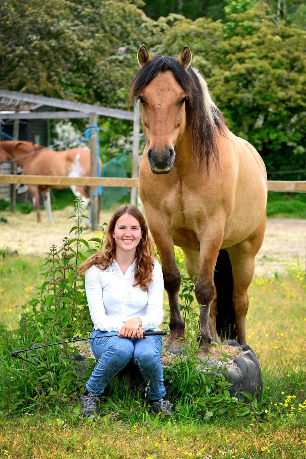 Anden særlig race Cokko billede 4