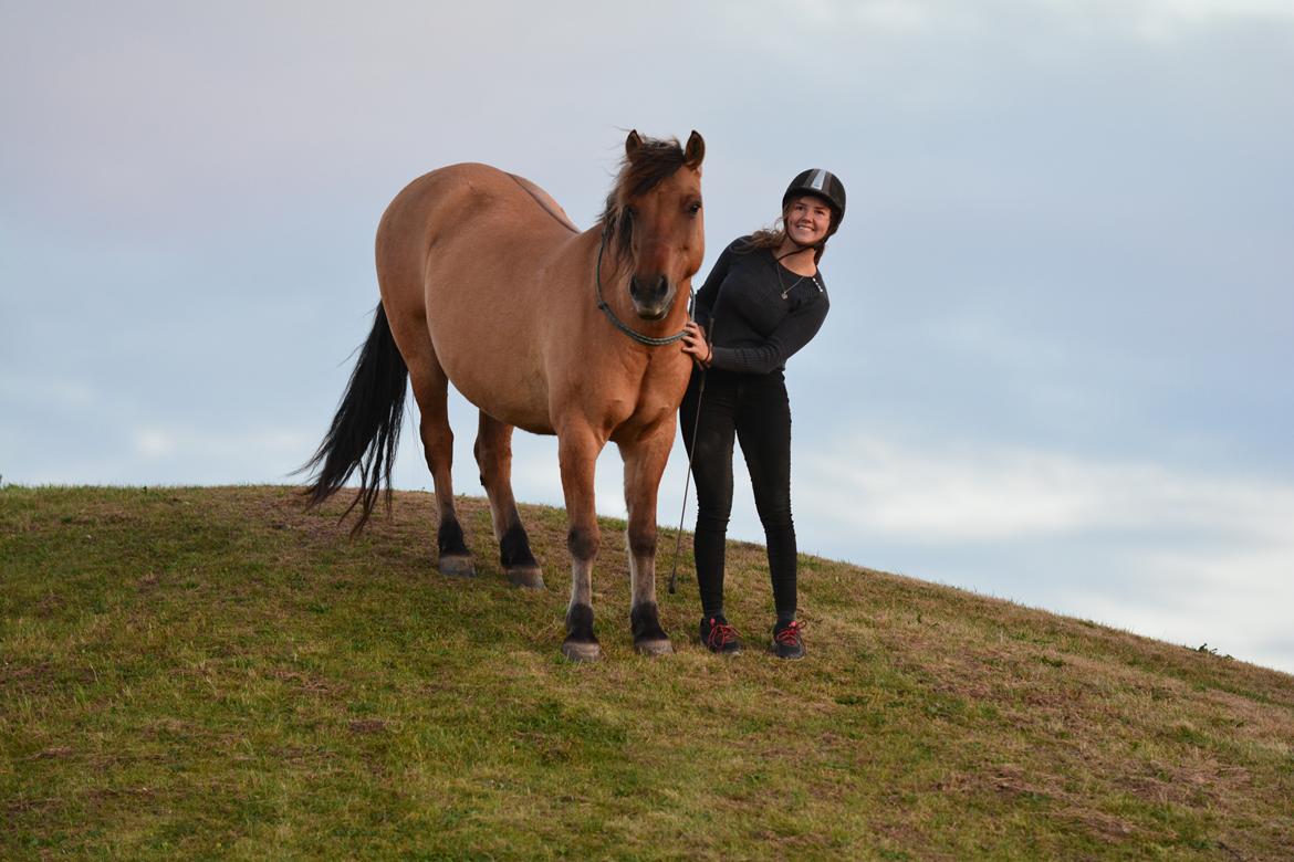 Anden særlig race Cokko billede 19