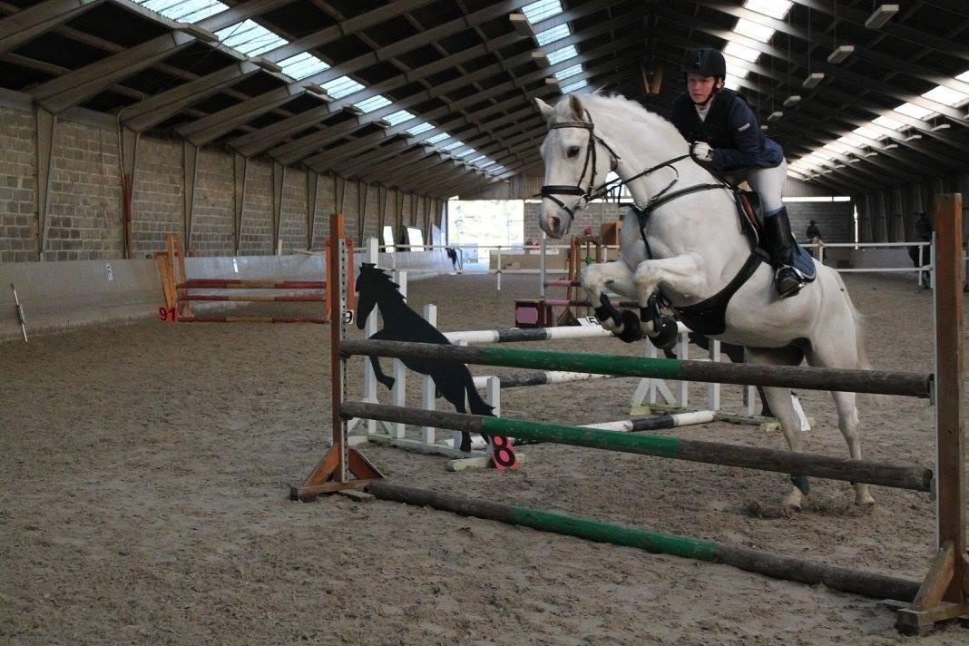 Anden særlig race Miss Furio - favrskov lc 2016 billede 30