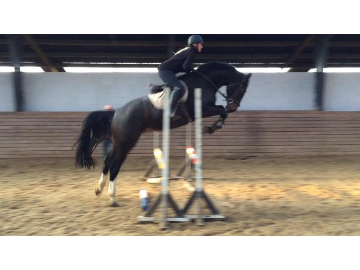 {{currentPhoto.altText}} billede {{currentPhoto.number}}