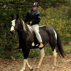 Pinto La Tinka Primavera *Min baby&Dulle2*