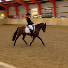 DSP BIRKELUND'S FLAMME