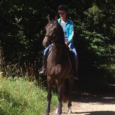 Oldenborg Gørklintgårds lilac