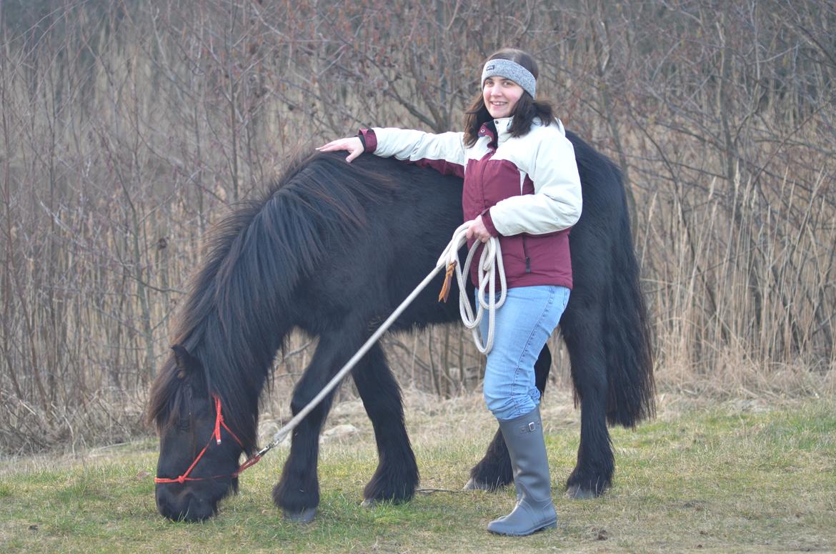 Fell pony Strandgaardens Black Jack - Lidt hygge på tur... vinteren 2014 billede 22