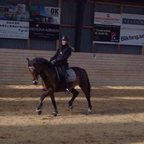 DSP Kenobi billede 12