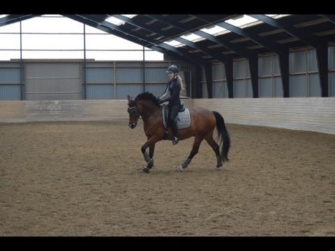 DSP Kenobi billede 7