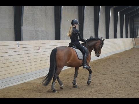 DSP Kenobi billede 10