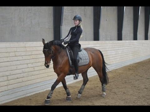 DSP Kenobi billede 13