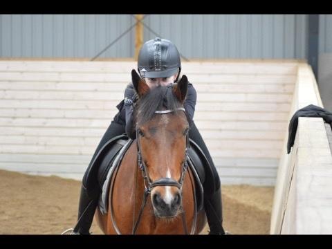 DSP Kenobi billede 18