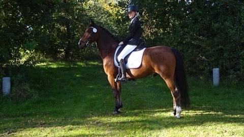 DSP Kenobi billede 16