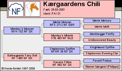 New Forest Kærgaardens Chili billede 20