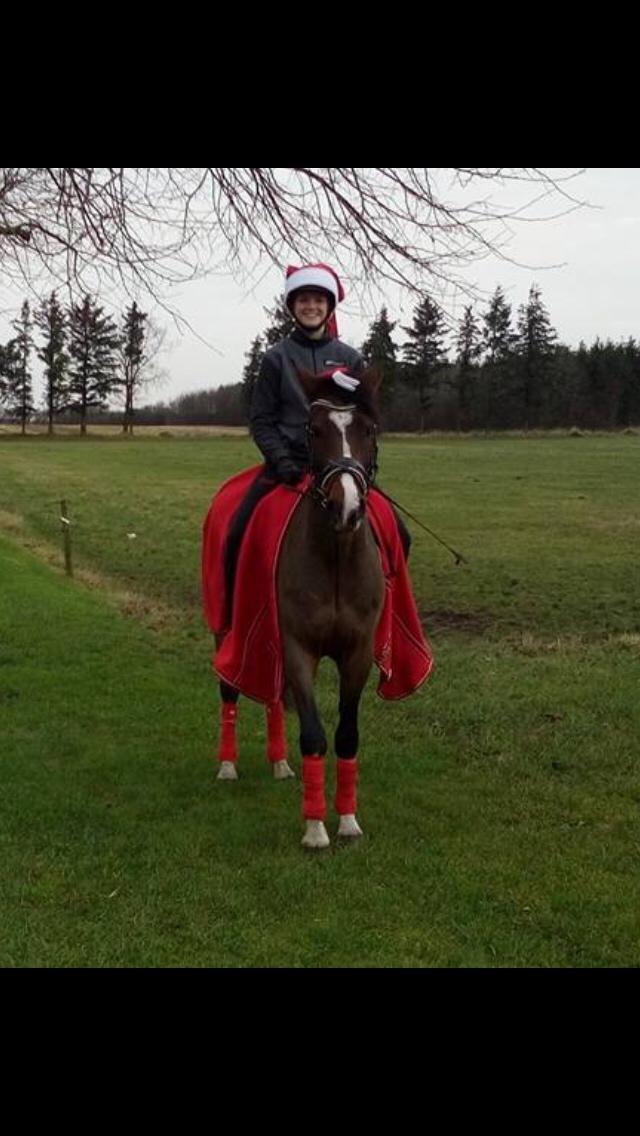 DSP Patrik af hvarre billede 2