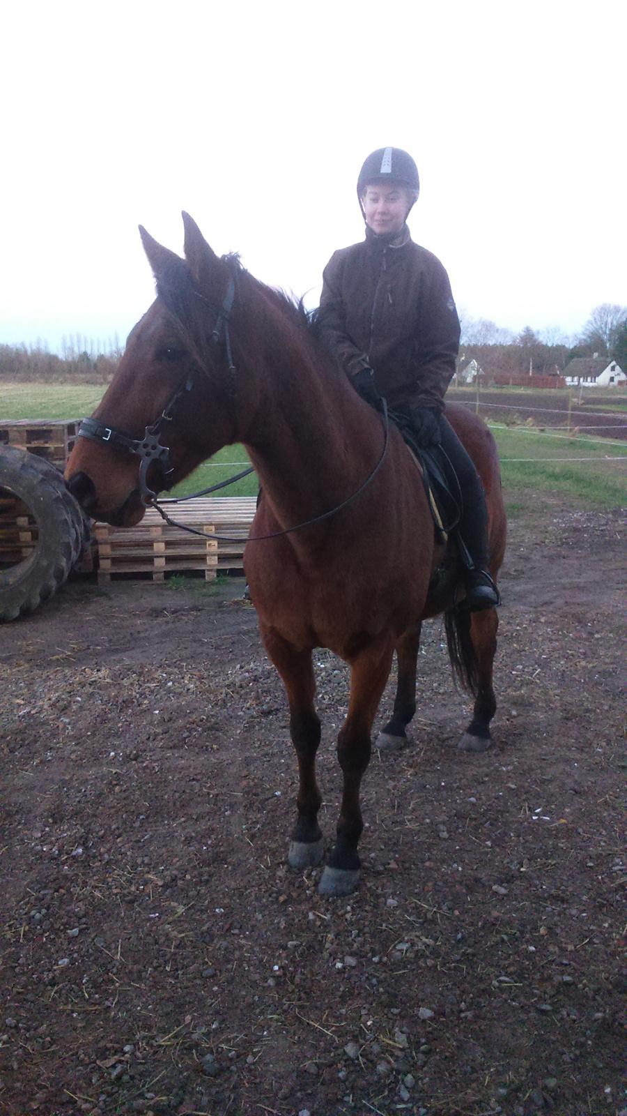 Traver Gunnison billede 3