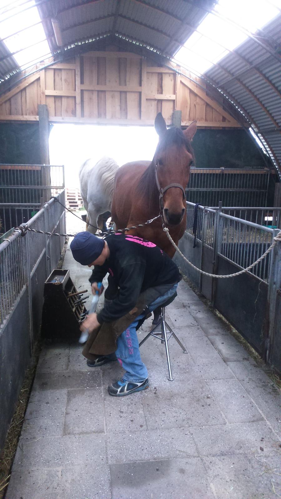 Traver Gunnison billede 7