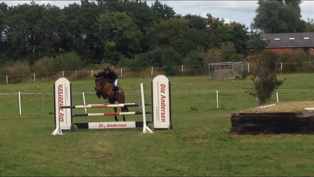 Cruzado Vanilla Sky - MB2** inkl. 2 plads billede 7