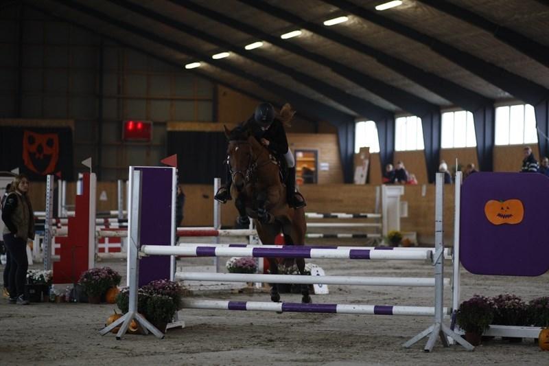 Cruzado Vanilla Sky billede 8