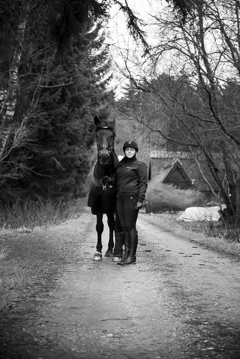 Dansk Varmblod Shadow  billede 4