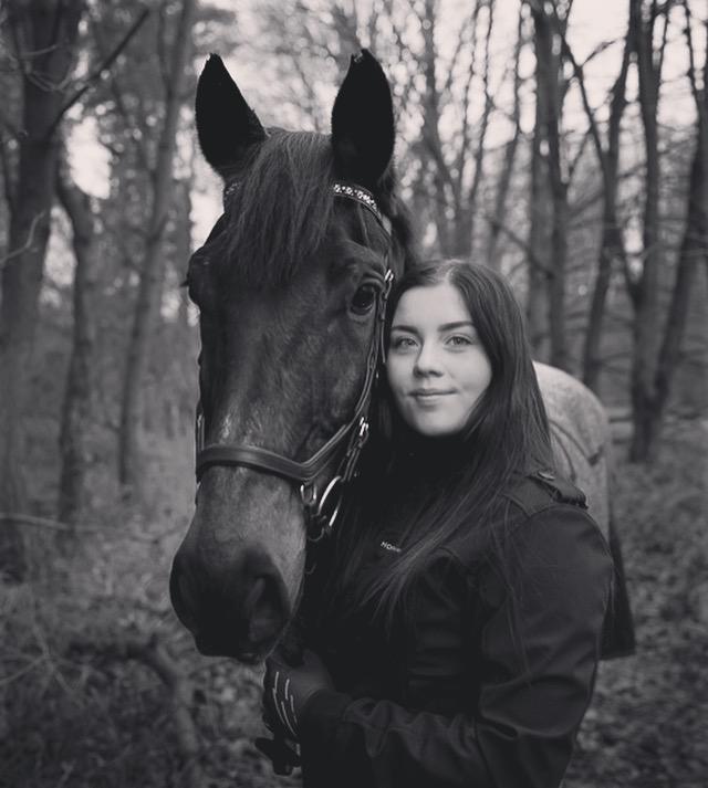 Dansk Varmblod Shadow  billede 5