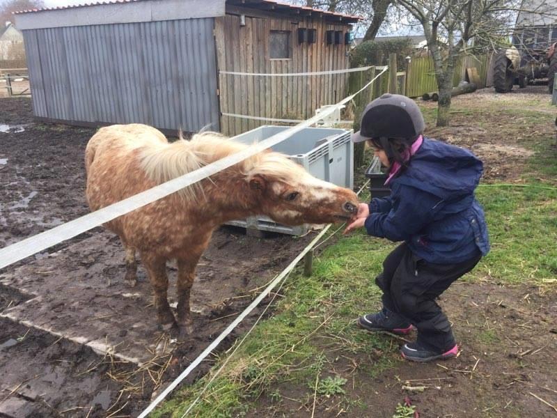 Anden særlig race Timon  billede 33